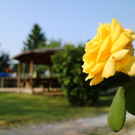 Agriturismo Ai Vigneti Ponti sul Mincio Ngoại thất bức ảnh